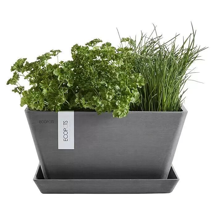 Ecopots Berlin Pflanzschale eckig - Außenmaß (L x B x H): 41 x 41 x 18 cm, Kunststoff, Grau - Grauer ECOPOTS-Pflanztopf mit Petersilie und Schnittlauch auf passendem Untersetzer.