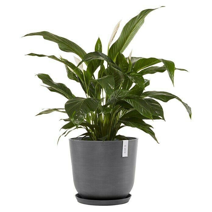 Ecopots Oslo Pflanztopf (Außenmaß (Ø x H): 45 x 39,4 cm, Kunststoff, Grau) | BAUHAUS
