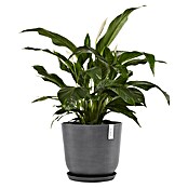 Ecopots Oslo Pflanztopf (Außenmaß (Ø x H): 45 x 39,4 cm, Kunststoff, Grau) | BAUHAUS