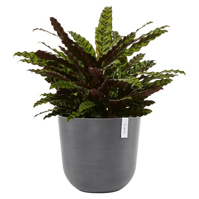 Ecopots Oslo Pflanztopf (Außenmaß (Ø x H): 45 x 39,4 cm, Kunststoff, Grau) | BAUHAUS