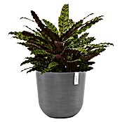 Ecopots Oslo Pflanztopf (Außenmaß (Ø x H): 45 x 39,4 cm, Kunststoff, Grau) | BAUHAUS