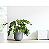 Ecopots Oslo Pflanztopf (Außenmaß (Ø x H): 45 x 39,4 cm, Kunststoff, Grau) | BAUHAUS