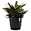 Ecopots Oslo Pflanztopf (Außenmaß (Ø x H): 45 x 39,4 cm, Kunststoff, Dunkelgrau) | BAUHAUS