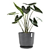 Ecopots Oslo Pflanztopf (Außenmaß (Ø x H): 45 x 39,4 cm, Kunststoff, Grau) | BAUHAUS