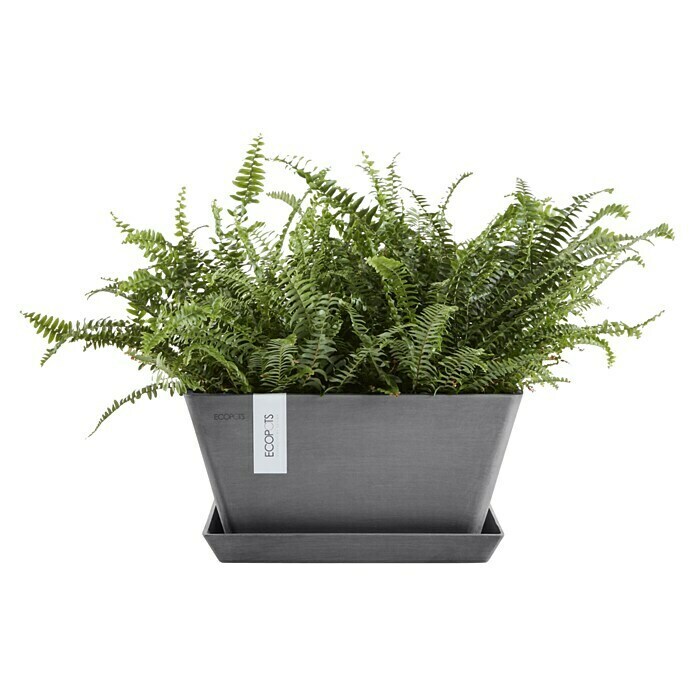 Ecopots Berlin Pflanzschale eckig (Außenmaß (L x B x H): 41 x 41 x 18 cm, Kunststoff, Grau) | BAUHAUS