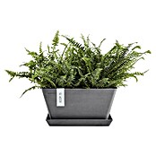 Ecopots Berlin Pflanzschale eckig (Außenmaß (L x B x H): 41 x 41 x 18 cm, Kunststoff, Grau) | BAUHAUS