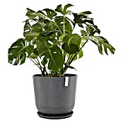 Ecopots Oslo Pflanztopf (Außenmaß (Ø x H): 55 x 48,5 cm, Kunststoff, Grau) | BAUHAUS