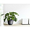 Ecopots Oslo Pflanztopf (Außenmaß (Ø x H): 45 x 39,4 cm, Kunststoff, Dunkelgrau) | BAUHAUS