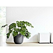 Ecopots Oslo Pflanztopf (Außenmaß (Ø x H): 45 x 39,4 cm, Kunststoff, Dunkelgrau) | BAUHAUS