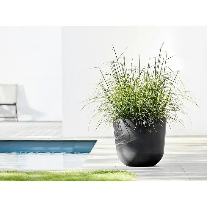 Ecopots Oslo Pflanztopf - Außenmaß (Ø x H): 45 x 39,4 cm, Kunststoff, Dunkelgrau - Ein schwarzer Blumentopf mit Gras, der auf einer grauen Terrasse neben einem Pool steht, im Hintergrund eine weiße Wand.