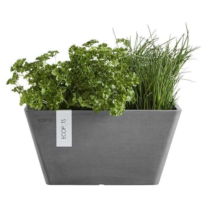 Ecopots Berlin Pflanzschale eckig (Außenmaß (L x B x H): 41 x 41 x 18 cm, Kunststoff, Grau) | BAUHAUS