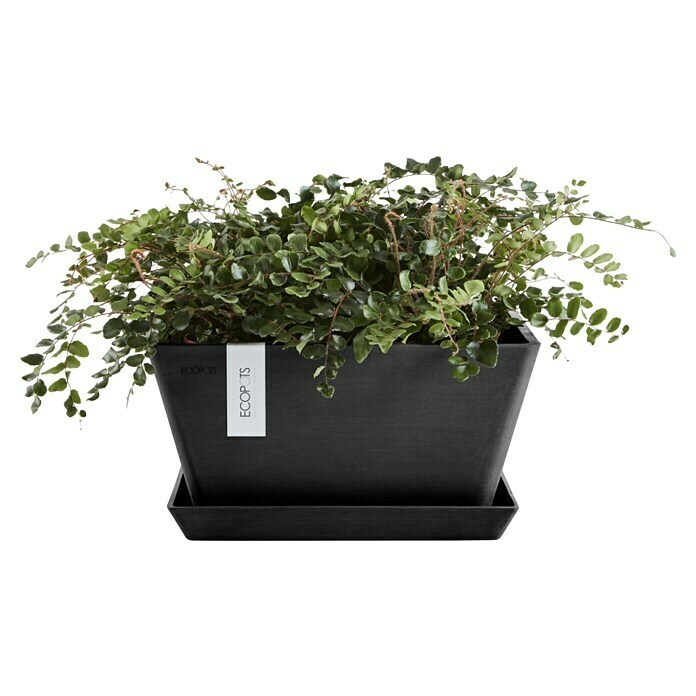 Ecopots Berlin Pflanzschale eckig (Außenmaß (L x B x H): 41 x 41 x 18 cm, Kunststoff, Dunkelgrau) | BAUHAUS