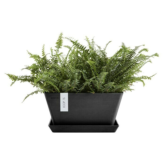 Ecopots Berlin Pflanzschale eckig (Außenmaß (L x B x H): 41 x 41 x 18 cm, Kunststoff, Dunkelgrau) | BAUHAUS