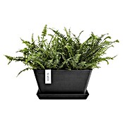 Ecopots Berlin Pflanzschale eckig (Außenmaß (L x B x H): 41 x 41 x 18 cm, Kunststoff, Dunkelgrau) | BAUHAUS
