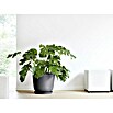 Ecopots Oslo Pflanztopf (Außenmaß (Ø x H): 45 x 39,4 cm, Kunststoff, Dunkelgrau) | BAUHAUS