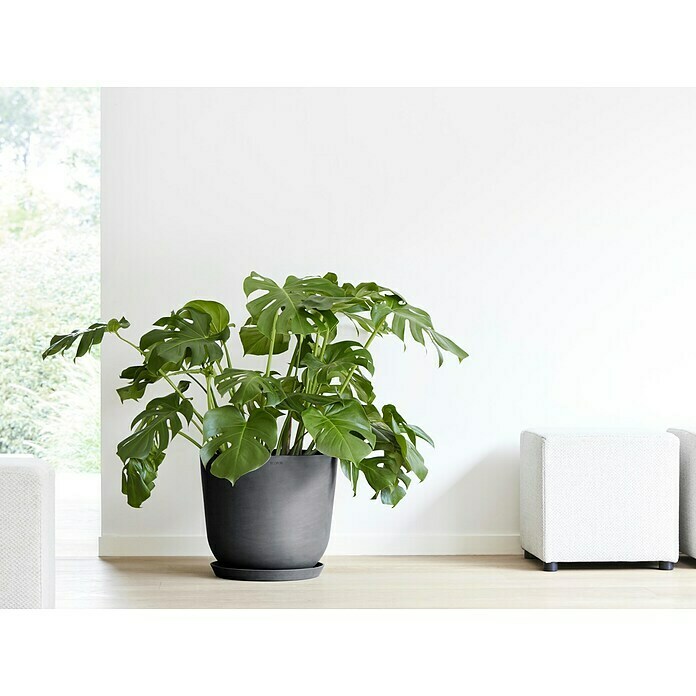 Ecopots Oslo Pflanztopf (Außenmaß (Ø x H): 45 x 39,4 cm, Kunststoff, Dunkelgrau) | BAUHAUS