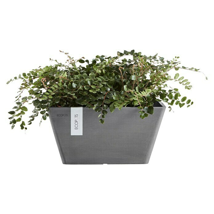 Ecopots Berlin Pflanzschale eckig (Außenmaß (L x B x H): 41 x 41 x 18 cm, Kunststoff, Grau) | BAUHAUS