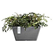 Ecopots Berlin Pflanzschale eckig (Außenmaß (L x B x H): 41 x 41 x 18 cm, Kunststoff, Grau) | BAUHAUS
