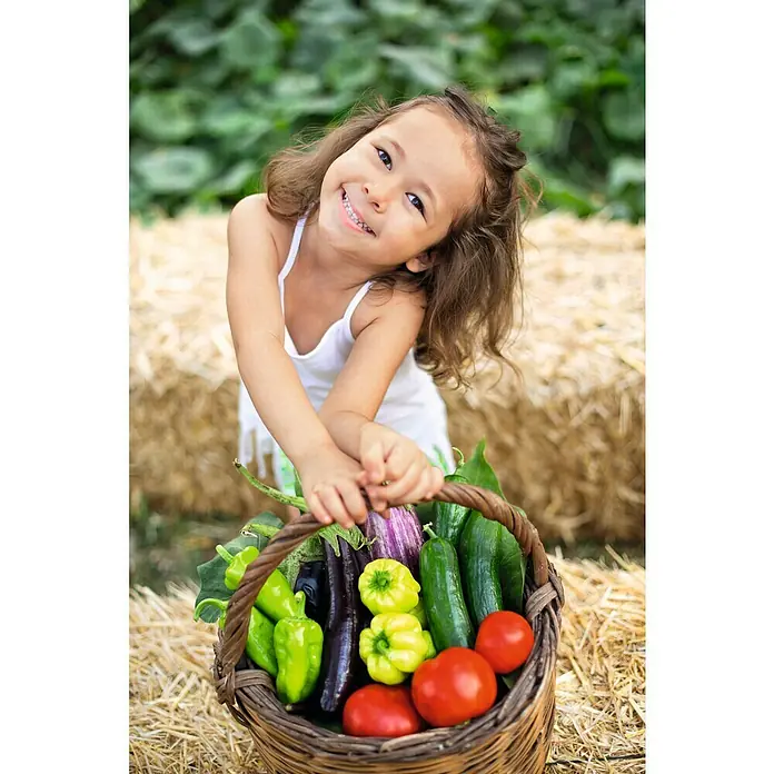 Piardino Tomate / Nektar-Cherrytomate veredelt - Solanum lycopersicum, Topfgröße: 12 cm, Erntezeit: Juli - Entzückendes Mädchen präsentiert einen Korb voller frischer Gemüse, darunter Tomaten, Gurken und Paprika.
