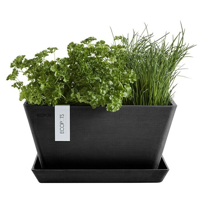 Ecopots Berlin Pflanzschale eckig (Außenmaß (L x B x H): 41 x 41 x 18 cm, Kunststoff, Dunkelgrau) | BAUHAUS