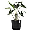 Ecopots Oslo Pflanztopf (Außenmaß (Ø x H): 45 x 39,4 cm, Kunststoff, Dunkelgrau) | BAUHAUS