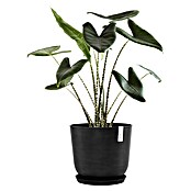 Ecopots Oslo Pflanztopf (Außenmaß (Ø x H): 45 x 39,4 cm, Kunststoff, Dunkelgrau) | BAUHAUS