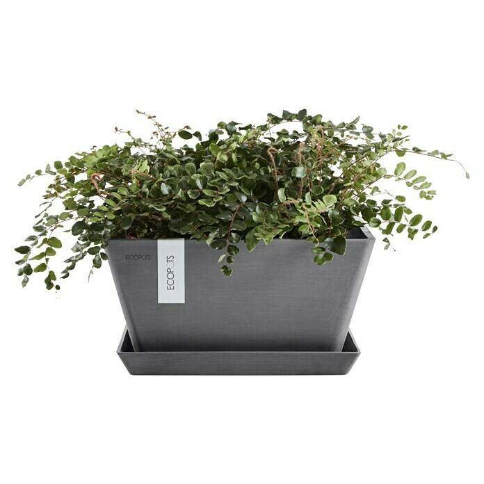 Ecopots Berlin Pflanzschale eckig (Außenmaß (L x B x H): 41 x 41 x 18 cm, Kunststoff, Grau) | BAUHAUS