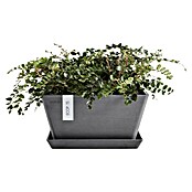 Ecopots Berlin Pflanzschale eckig (Außenmaß (L x B x H): 41 x 41 x 18 cm, Kunststoff, Grau) | BAUHAUS
