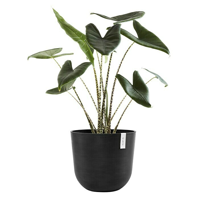 Ecopots Oslo Pflanztopf (Außenmaß (Ø x H): 45 x 39,4 cm, Kunststoff, Dunkelgrau) | BAUHAUS