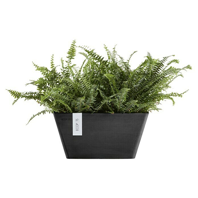 Ecopots Berlin Pflanzschale eckig (Außenmaß (L x B x H): 41 x 41 x 18 cm, Kunststoff, Dunkelgrau) | BAUHAUS