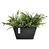 Ecopots Berlin Pflanzschale eckig (Außenmaß (L x B x H): 41 x 41 x 18 cm, Kunststoff, Dunkelgrau) | BAUHAUS