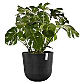 Ecopots Oslo Pflanztopf (Außenmaß (Ø x H): 55 x 48,5 cm, Kunststoff, Dunkelgrau) | BAUHAUS