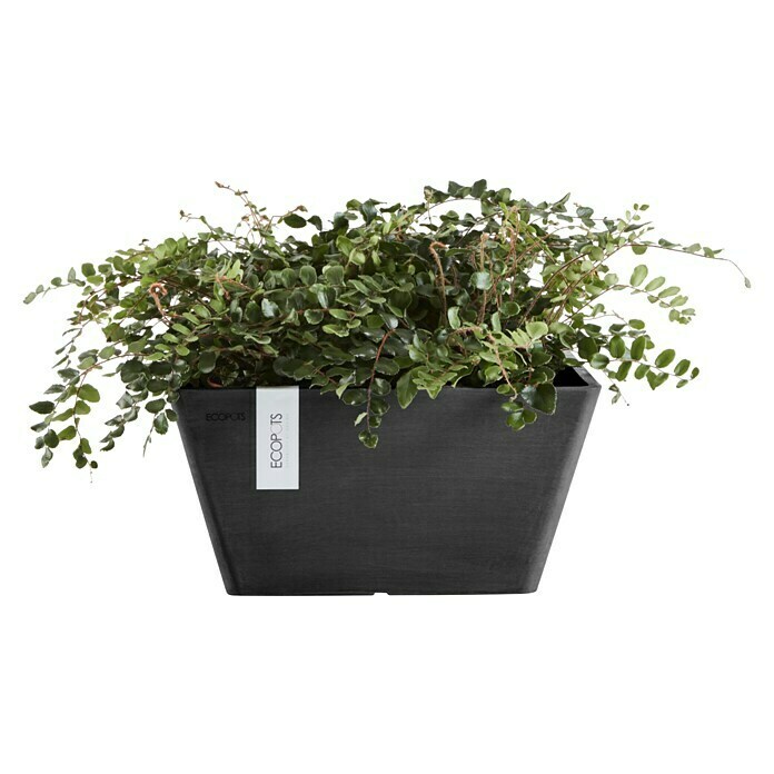 Ecopots Berlin Pflanzschale eckig (Außenmaß (L x B x H): 41 x 41 x 18 cm, Kunststoff, Dunkelgrau) | BAUHAUS