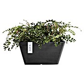 Ecopots Berlin Pflanzschale eckig (Außenmaß (L x B x H): 41 x 41 x 18 cm, Kunststoff, Dunkelgrau) | BAUHAUS