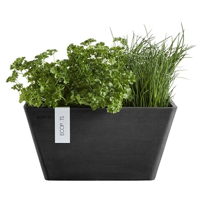 Ecopots Berlin Pflanzschale eckig (Außenmaß (L x B x H): 41 x 41 x 18 cm, Kunststoff, Dunkelgrau) | BAUHAUS