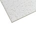 THU Ceiling Solutions Placa de techo Basic 1 