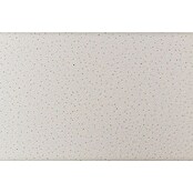 THU Ceiling Solutions Placa para techo Design 2 (L x An: 59,5 x 59,5 cm, Blanco, Número de componentes: 10 ud., Granuloso) | BAUHAUS