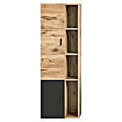 xonox.home Grado Hochschrank Grado (B x T x H: 48 x 35 x 144 cm, Nox Oak) | BAUHAUS