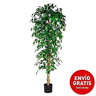 Planta artificial Ficus Benjamina (Altura: 180 cm, Verde, Plástico)