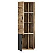 xonox.home Grado Hochschrank Grado (B x T x H: 48 x 35 x 144 cm, Nox Oak) | BAUHAUS