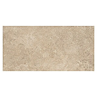 Pločica za terasu My Home (60 x 120 x 2 cm, Light Grey, Mat)