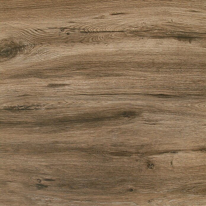 Terasna ploščica Strobus  (60 x 60 x 2 cm, Ebony/Rjava, Mat) | Kamnite ploščice | Talne ploščice | Ploščice | Izdelki | BAUHAUS