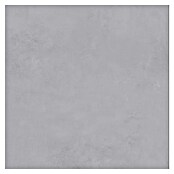 Terrassenfliese Modena (60 x 60 x 2 cm, Dusty/Grau, Matt) | BAUHAUS