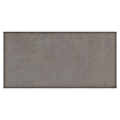 Terrassenfliese Modena (60 x 120 x 2 cm, Ash/Graubraun, Matt) | BAUHAUS