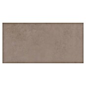 Terrassenfliese Modena (60 x 120 x 2 cm, Taupe, Matt) | BAUHAUS