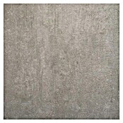 Terrassenfliese Beton (60 x 60 x 2 cm, Hellgrau, Matt) | BAUHAUS