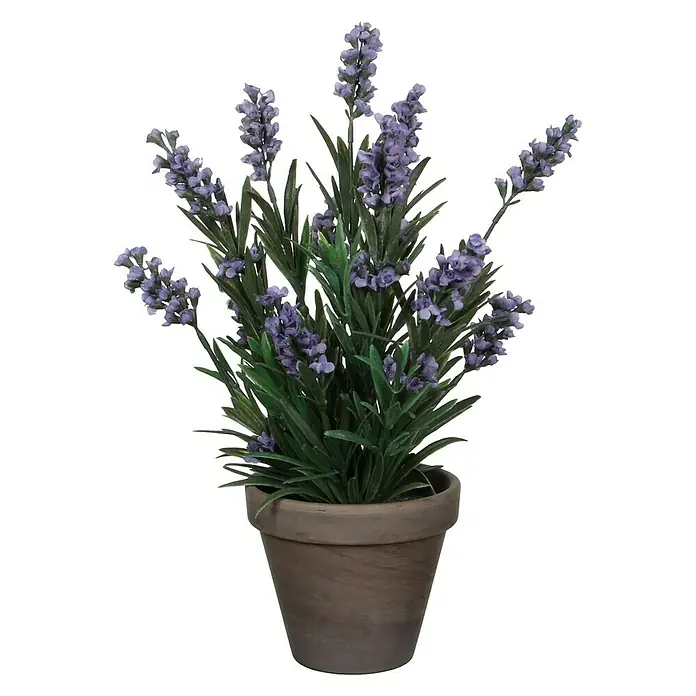 Kunstblume Lavendel - Höhe: 33 cm, Blau, Kunststoff - Kunstlavendel in einem Topf. Die Pflanze mit den lilafarbenen Blüten wirkt sehr realistisch und ist eine tolle Dekoration für Zuhause.