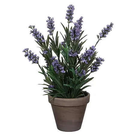 Kunstblumen & Seidenblumen online kaufen