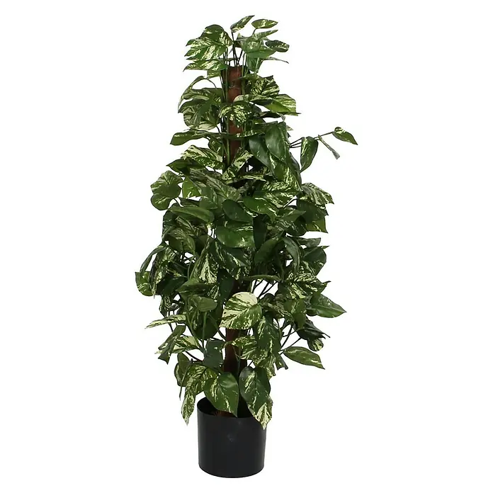 Kunstpflanze Scindapsus