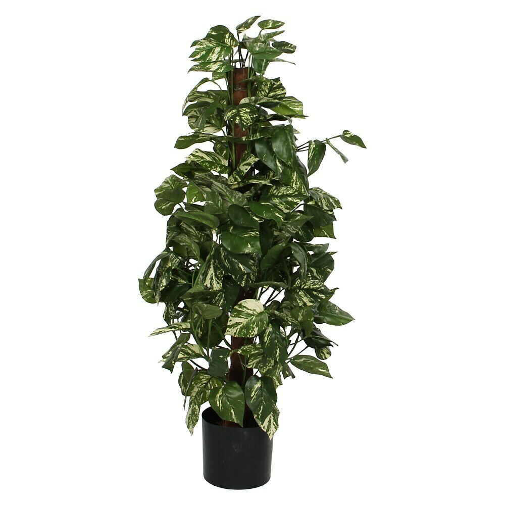 Kunstpflanze Scindapsus